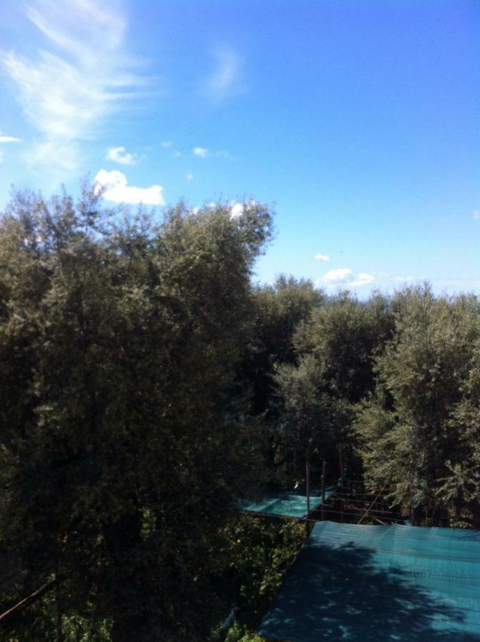 Casa Iolanda Villa ซอร์เรนโต ภายนอก รูปภาพ